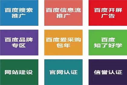 百度竞价广告投放案例剖析